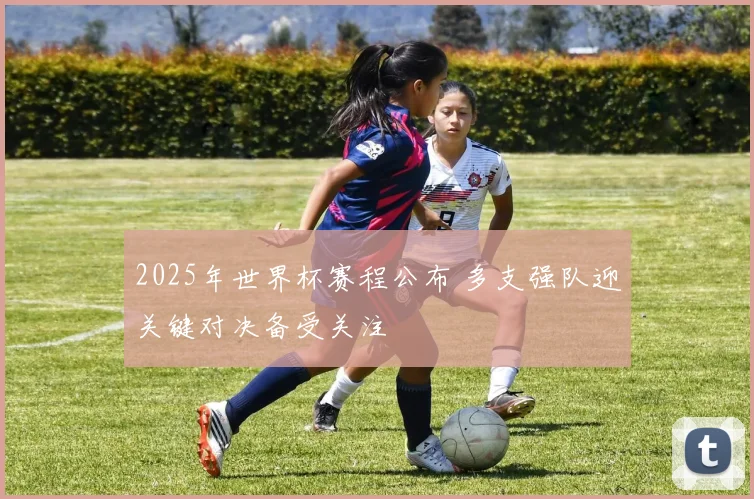 2025年世界杯赛程公布 多支强队迎关键对决备受关注