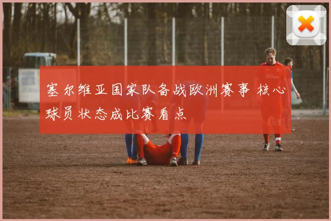塞尔维亚国家队备战欧洲赛事 核心球员状态成比赛看点