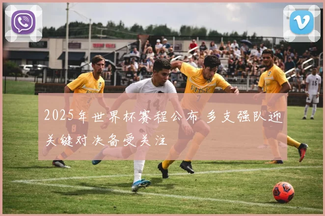 2025年世界杯赛程公布 多支强队迎关键对决备受关注