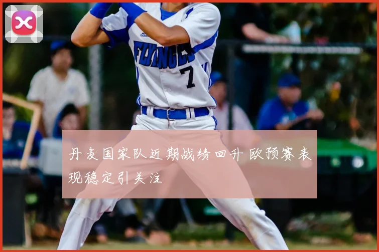 丹麦国家队近期战绩回升 欧预赛表现稳定引关注