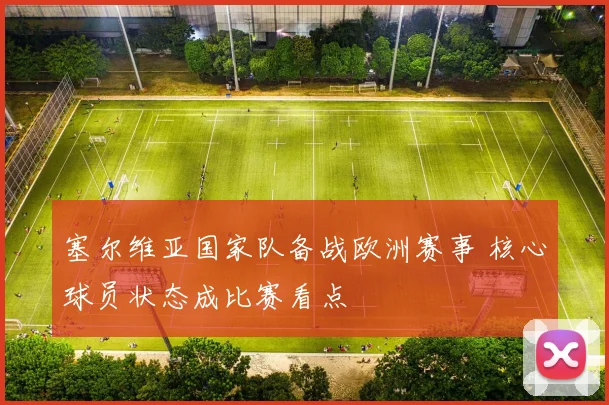 塞尔维亚国家队备战欧洲赛事 核心球员状态成比赛看点