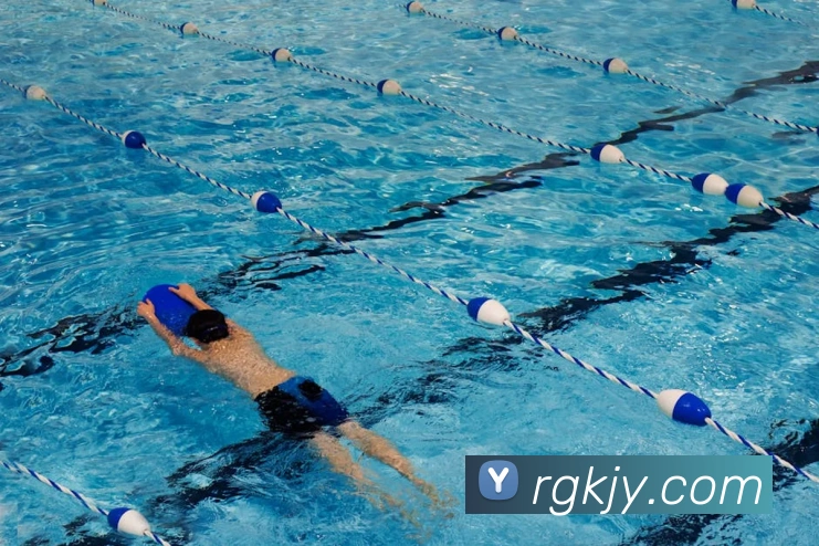 买球官方APP 封面图